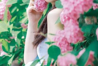 更新，更新，51com就像低头写稿的我一样，加班加点，为了我们这些瓜友们辛苦了！