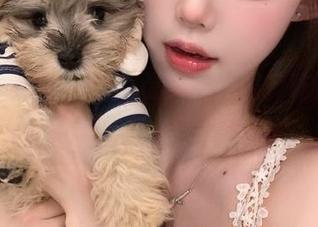 在线免费免费，国产吃瓜瓜道上游走，脑洞快来一起放飞！
