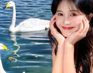 国产吃瓜app上线了，在线探班除了吃瓜，还是吃瓜～什么内戏我也是看得乐呵呵。
