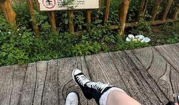 黑料不打烊网址哪个更靠谱？求你，这可是我的“生存必需品”啊！